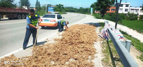 維護(hù)公路運(yùn)行安全 天門(mén)開(kāi)展路域環(huán)境綜合整治行動(dòng)